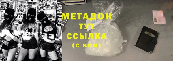 прущие грибы Волоколамск