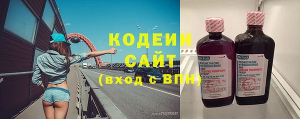 прущие грибы Волоколамск