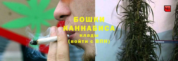 прущие грибы Волоколамск