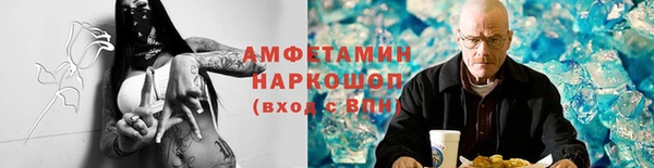 прущие грибы Волоколамск