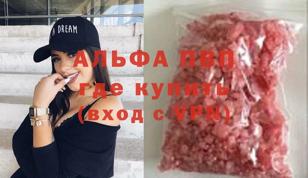 прущие грибы Волоколамск