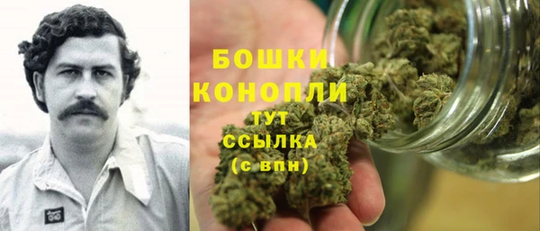 прущие грибы Волоколамск